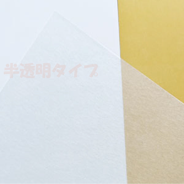 フロスト・クラフトプラバンB5(半透明)