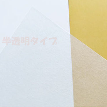 フロスト・クラフトプラバンB5(半透明)